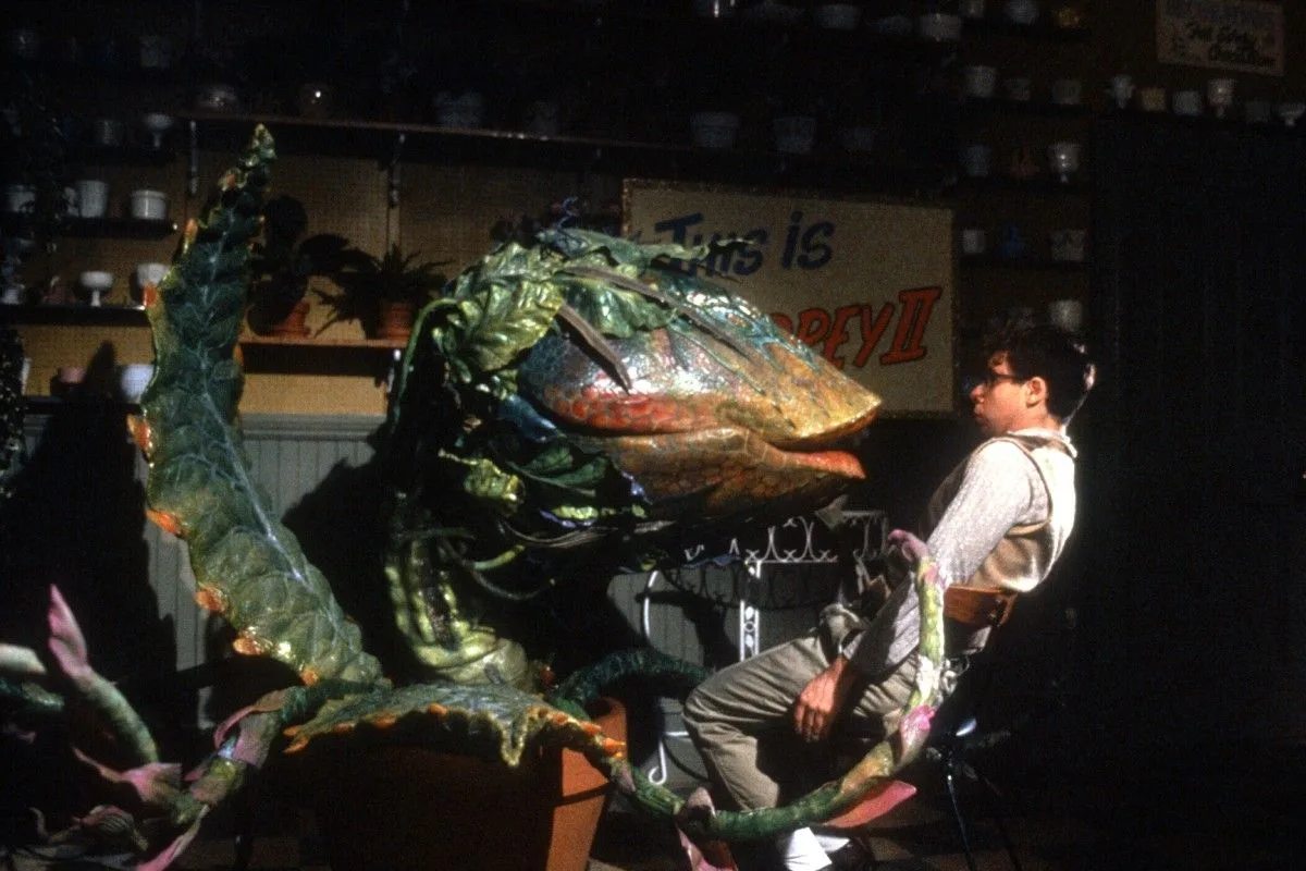 where to watch Little Shop of Horrors