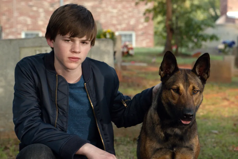 where to watch Max (2015)